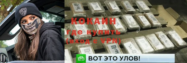 стаф Алзамай