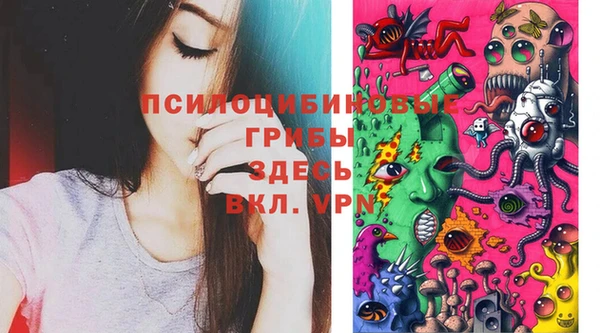 крисы Алексеевка