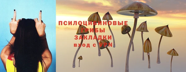 крисы Алексеевка