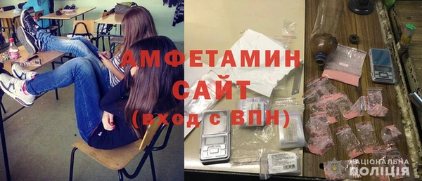 стаф Алзамай
