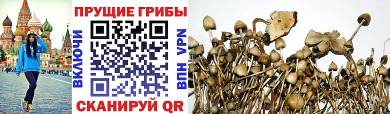 darknet состав Лысьва Галлюциногенные грибы ЛСД кракен сайт